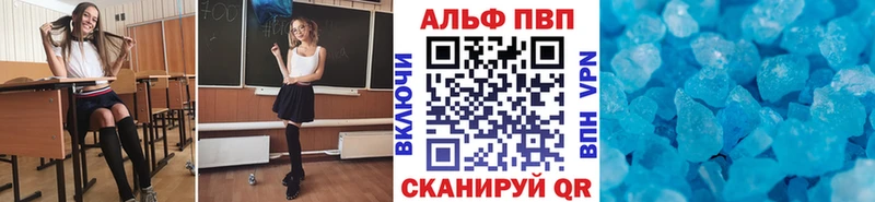 Альфа ПВП СК КРИС  Щигры 