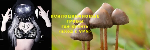 амф Алзамай